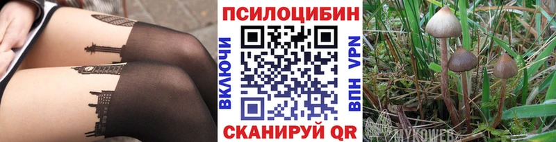 Псилоцибиновые грибы Psilocybe  Тверь 