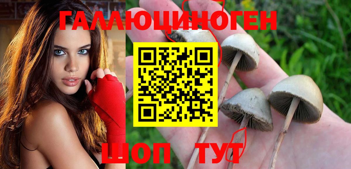 Тверь  Галлюциногенные грибы Magic Shrooms  Вход с VPN 